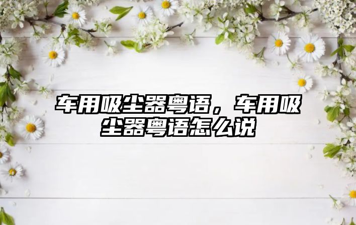 車用吸塵器粵語，車用吸塵器粵語怎么說