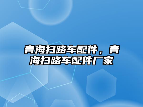 青海掃路車配件，青海掃路車配件廠家