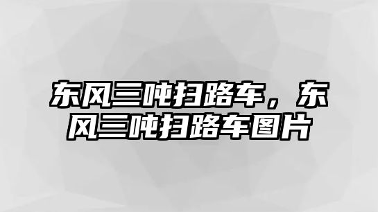 東風(fēng)三噸掃路車，東風(fēng)三噸掃路車圖片