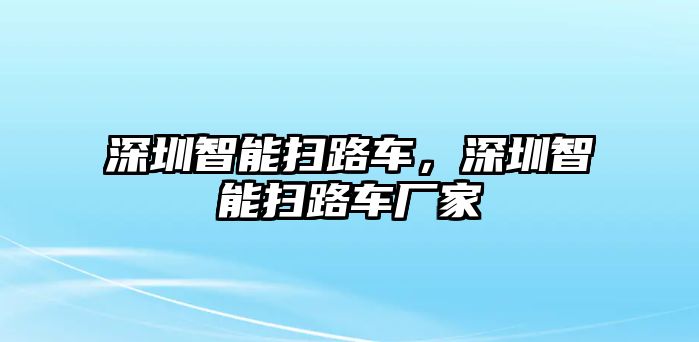 深圳智能掃路車，深圳智能掃路車廠家