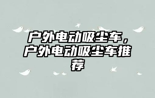 戶外電動吸塵車，戶外電動吸塵車推薦