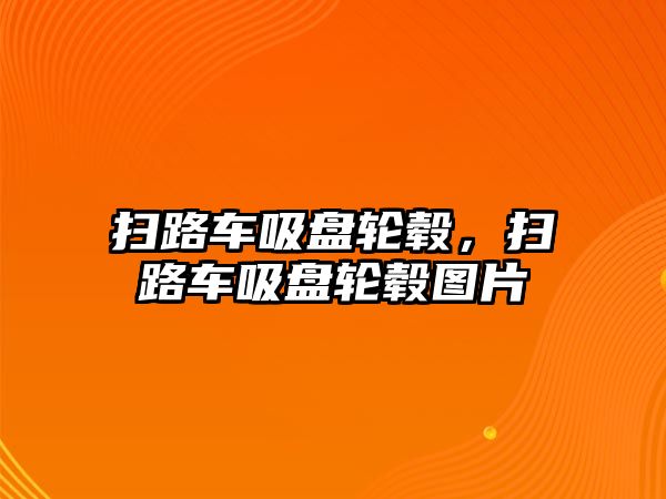 掃路車吸盤輪轂，掃路車吸盤輪轂圖片