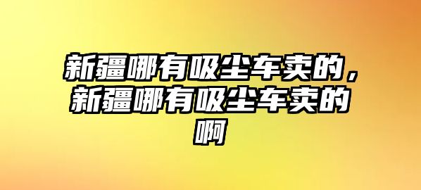 新疆哪有吸塵車賣的，新疆哪有吸塵車賣的啊