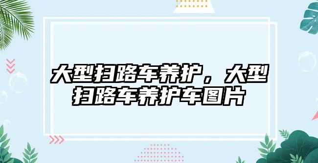 大型掃路車養(yǎng)護，大型掃路車養(yǎng)護車圖片