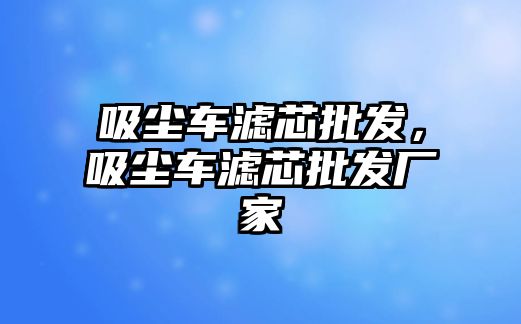 吸塵車濾芯批發(fā)，吸塵車濾芯批發(fā)廠家