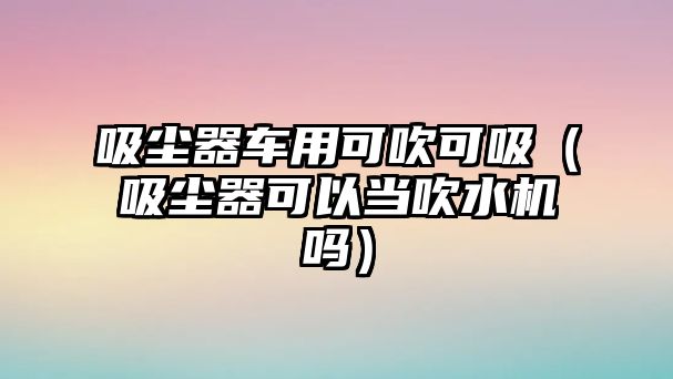 吸塵器車用可吹可吸（吸塵器可以當(dāng)吹水機嗎）