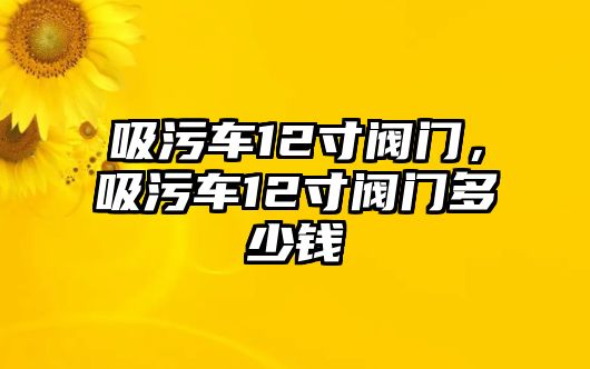 吸污車12寸閥門，吸污車12寸閥門多少錢