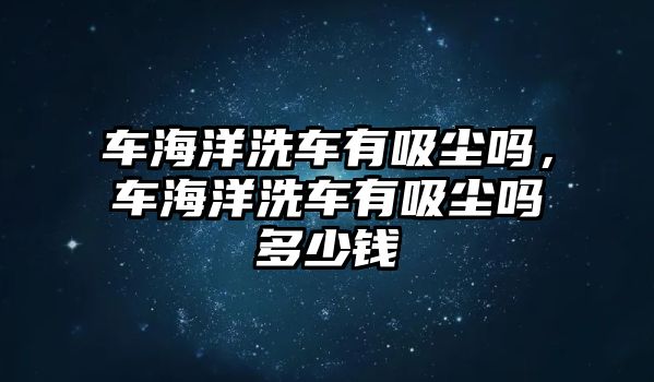 車海洋洗車有吸塵嗎，車海洋洗車有吸塵嗎多少錢