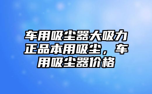 車用吸塵器大吸力正品本用吸塵，車用吸塵器價格