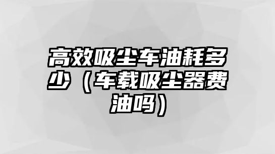 高效吸塵車油耗多少（車載吸塵器費(fèi)油嗎）