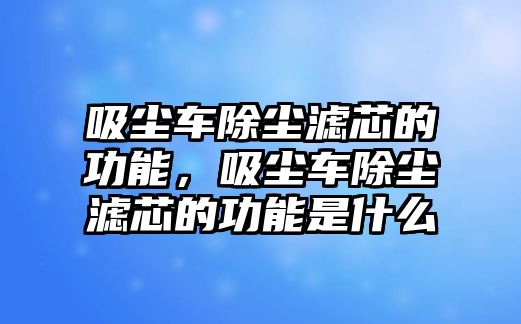 吸塵車除塵濾芯的功能，吸塵車除塵濾芯的功能是什么