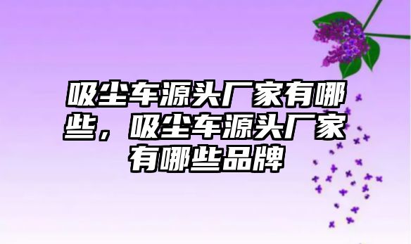 吸塵車源頭廠家有哪些，吸塵車源頭廠家有哪些品牌