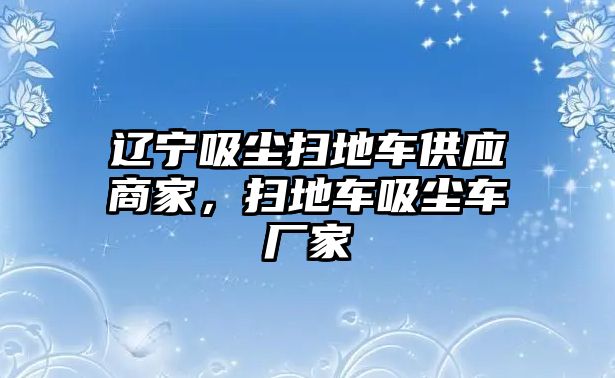 遼寧吸塵掃地車供應商家，掃地車吸塵車廠家