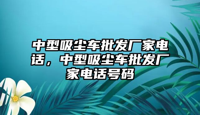 中型吸塵車批發(fā)廠家電話，中型吸塵車批發(fā)廠家電話號(hào)碼