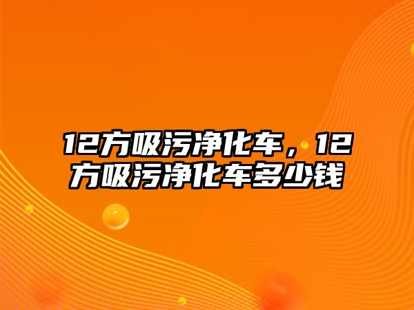 12方吸污凈化車，12方吸污凈化車多少錢