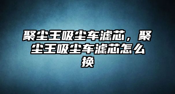 聚塵王吸塵車濾芯，聚塵王吸塵車濾芯怎么換