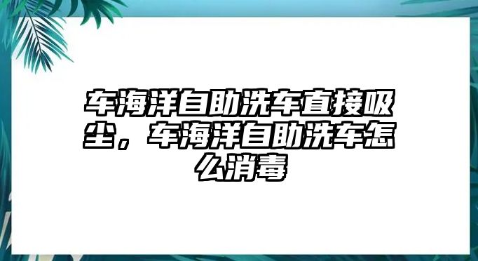 車海洋自助洗車直接吸塵，車海洋自助洗車怎么消毒