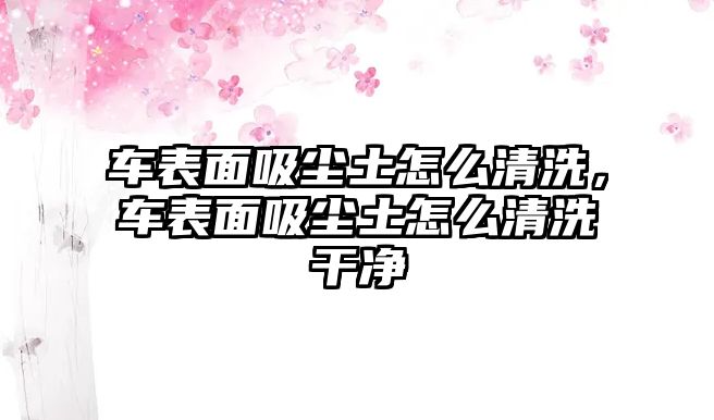 車表面吸塵土怎么清洗，車表面吸塵土怎么清洗干凈