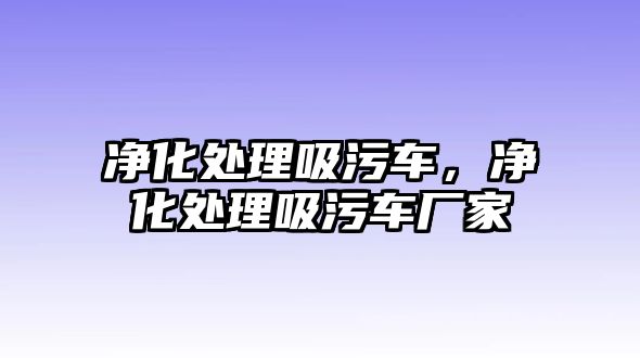 凈化處理吸污車，凈化處理吸污車廠家