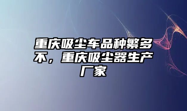 重慶吸塵車品種繁多不，重慶吸塵器生產(chǎn)廠家