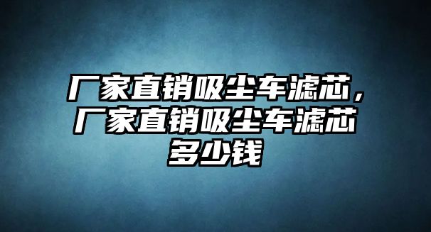 廠家直銷吸塵車濾芯，廠家直銷吸塵車濾芯多少錢