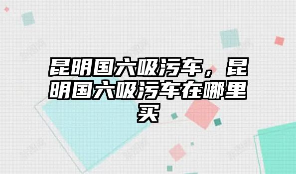 昆明國六吸污車，昆明國六吸污車在哪里買