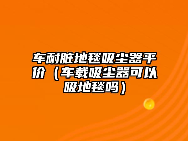 車耐臟地毯吸塵器平價（車載吸塵器可以吸地毯嗎）