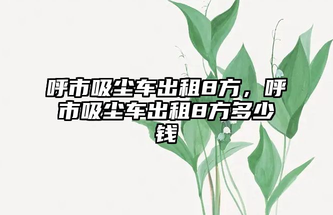 呼市吸塵車出租8方，呼市吸塵車出租8方多少錢