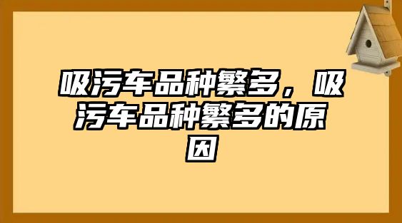 吸污車品種繁多，吸污車品種繁多的原因