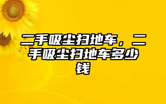 二手吸塵掃地車，二手吸塵掃地車多少錢