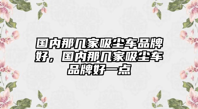 國內(nèi)那幾家吸塵車品牌好，國內(nèi)那幾家吸塵車品牌好一點