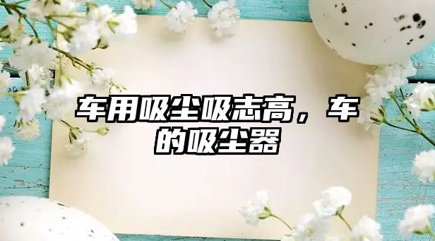 車用吸塵吸志高，車的吸塵器