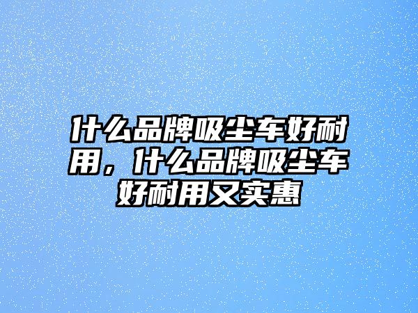 什么品牌吸塵車好耐用，什么品牌吸塵車好耐用又實(shí)惠