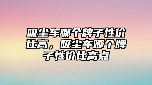 吸塵車哪個牌子性價比高，吸塵車哪個牌子性價比高點