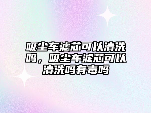 吸塵車濾芯可以清洗嗎，吸塵車濾芯可以清洗嗎有毒嗎