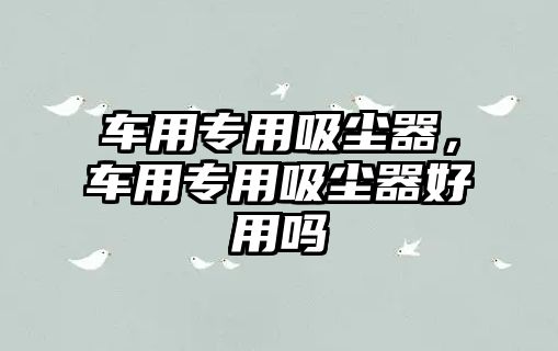 車用專用吸塵器，車用專用吸塵器好用嗎