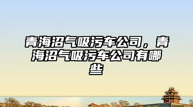 青海沼氣吸污車公司，青海沼氣吸污車公司有哪些