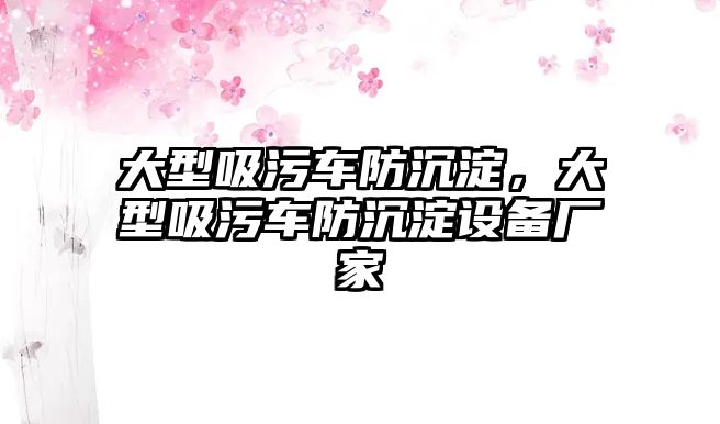 大型吸污車防沉淀，大型吸污車防沉淀設(shè)備廠家