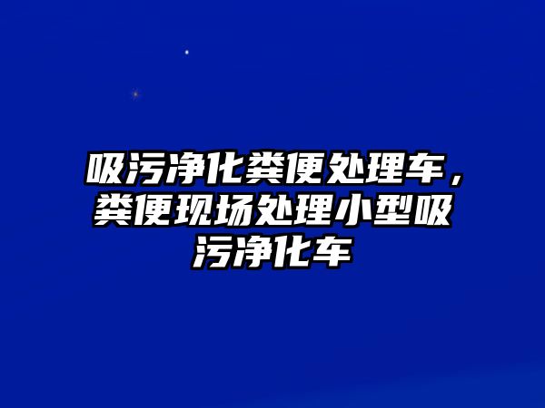 吸污凈化糞便處理車，糞便現(xiàn)場處理小型吸污凈化車