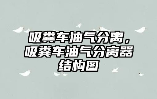 吸糞車油氣分離，吸糞車油氣分離器結(jié)構(gòu)圖