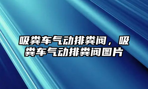 吸糞車氣動(dòng)排糞閥，吸糞車氣動(dòng)排糞閥圖片