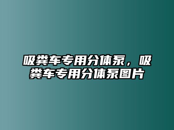 吸糞車專用分體泵，吸糞車專用分體泵圖片