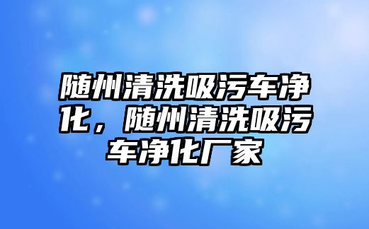 隨州清洗吸污車凈化，隨州清洗吸污車凈化廠家