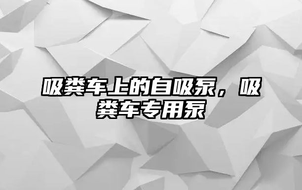 吸糞車上的自吸泵，吸糞車專用泵