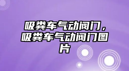 吸糞車氣動閥門，吸糞車氣動閥門圖片