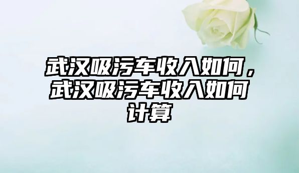 武漢吸污車收入如何，武漢吸污車收入如何計算