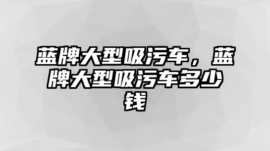 藍(lán)牌大型吸污車，藍(lán)牌大型吸污車多少錢