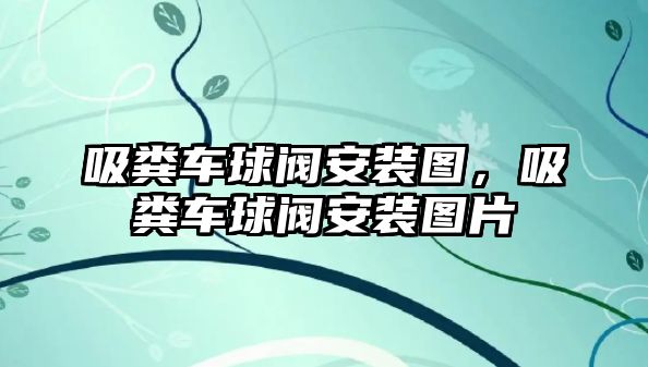 吸糞車球閥安裝圖，吸糞車球閥安裝圖片