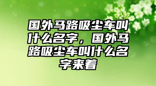 國外馬路吸塵車叫什么名字，國外馬路吸塵車叫什么名字來著