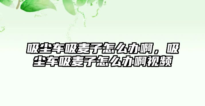 吸塵車吸麥子怎么辦啊，吸塵車吸麥子怎么辦啊視頻